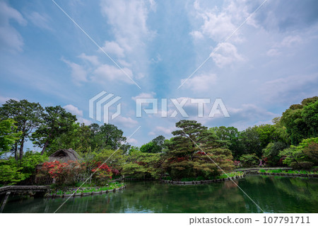 Photographing the garden of Umemiya Taisha Shrine in Ukyo Ward, Kyoto City under the gentle early summer sun Photographing the garden of Umemiya Taisha Shrine in Ukyo Ward, Kyoto City under the gentle early summer sun 107791711
