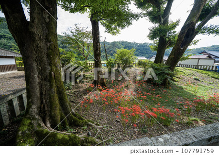 九里宮一景,這是慶子天皇的弟弟公主(乙姫)在《日本書紀》中拜訪美濃時的傳奇之地。 九里宮一景,這是慶子天皇的弟弟公主(乙姫)在《日本書紀》中拜訪美濃時的傳奇之地。 107791759