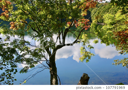 Onneto（北海道足寄郡足寄町） 107791969