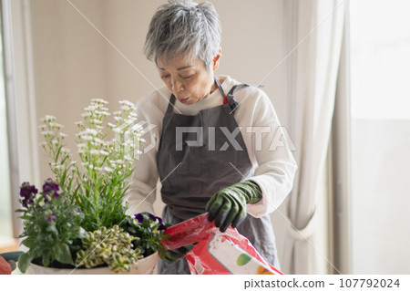 An elegant Japanese woman with gray hair planting trees An elegant Japanese woman with gray hair planting trees 107792024
