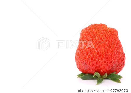 Bright red strawberry, 1 giant red cheek, close-up, bright background Bright red strawberry, 1 giant red cheek, close-up, bright background 107792070