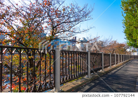 Fence along Edo Castle outer moat leading from Ichigaya Station 107792144