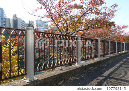 Fence along Edo Castle outer moat leading from Ichigaya Station 107792145