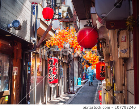 Shinjuku Memory Alley Shinjuku Memory Alley 107792240