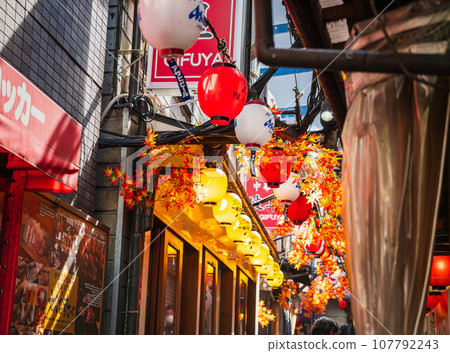 Shinjuku Memory Alley 107792243