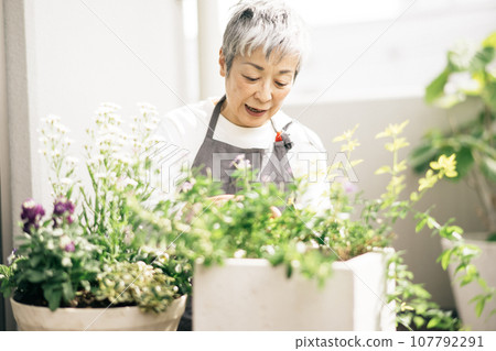 An elegant Japanese woman with gray hair growing plants on the balcony 107792291