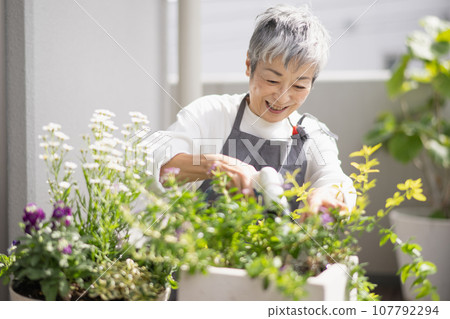 An elegant Japanese woman with gray hair giving water to flowers An elegant Japanese woman with gray hair giving water to flowers 107792294