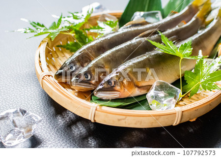 長良川天然香魚 107792573