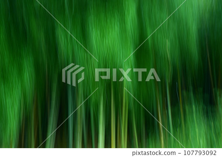 Bamboo forest image by ICM Bamboo forest image by ICM 107793092
