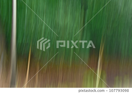 Bamboo forest image by ICM Bamboo forest image by ICM 107793098