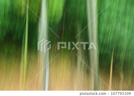 Bamboo forest image by ICM Bamboo forest image by ICM 107793109