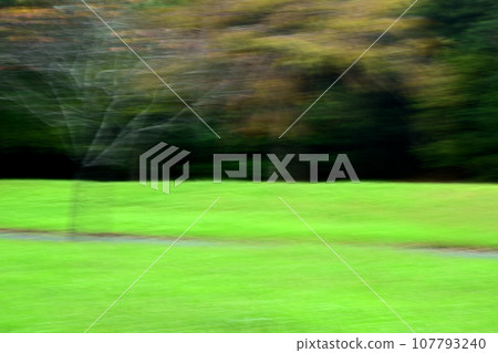 Weed image by ICM Weed image by ICM 107793240