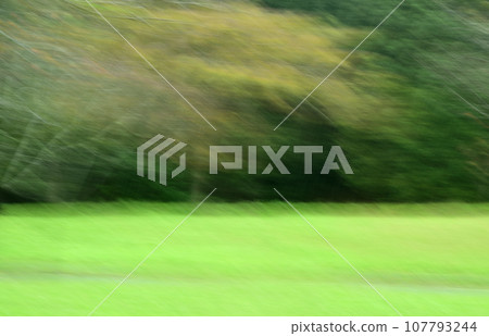 Weed image by ICM Weed image by ICM 107793244