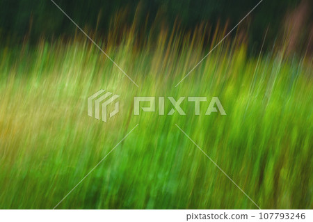 Weed image by ICM Weed image by ICM 107793246