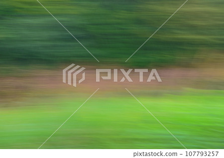 Weed image by ICM 107793257