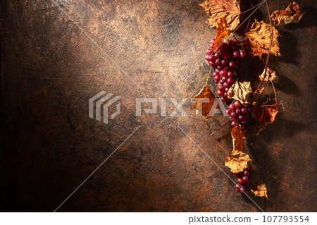 Vine with dried leaves and ripe grapes. Vine with dried leaves and ripe grapes. 107793554