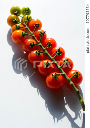 家庭收穫的櫻桃番茄,具有美麗的紅色漸層、白色背景 家庭收穫的櫻桃番茄,具有美麗的紅色漸層、白色背景 107793584