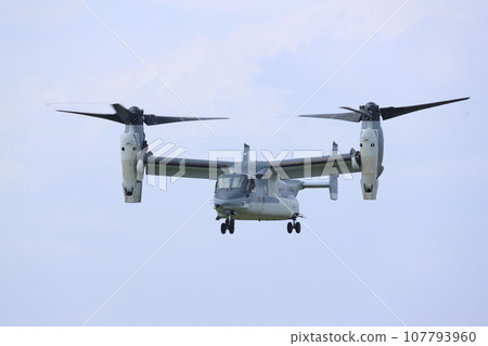 self-defence forces, the ground self-defense force, osprey 107793960