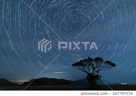 橡子樹和星星風景 107795554
