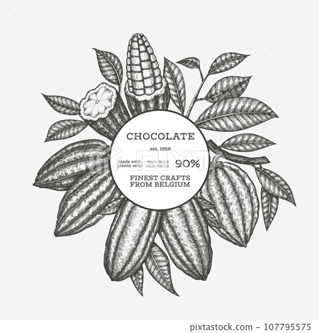Cocoa Banner Template. Chocolate Retro Cocoa Beans Background. Vector Vintage Style Hand Drawn Illustration. Cocoa Banner Template. Chocolate Retro Cocoa Beans Background. Vector Vintage Style Hand Drawn Illustration. 107795575