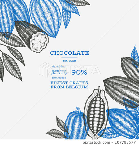 Cocoa Banner Template. Chocolate Retro Cocoa Beans Background. Vector Vintage Style Hand Drawn Illustration. Cocoa Banner Template. Chocolate Retro Cocoa Beans Background. Vector Vintage Style Hand Drawn Illustration. 107795577