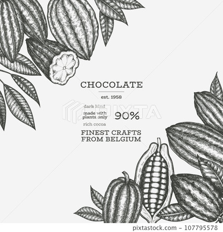 Cocoa Banner Template. Chocolate Retro Cocoa Beans Background. Vector Vintage Style Hand Drawn Illustration. Cocoa Banner Template. Chocolate Retro Cocoa Beans Background. Vector Vintage Style Hand Drawn Illustration. 107795578