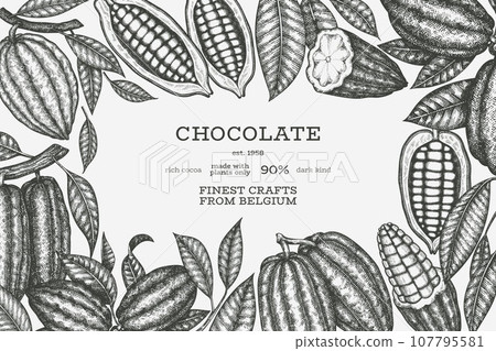Cocoa Banner Template. Chocolate Retro Cocoa Beans Background. Vector Vintage Style Hand Drawn Illustration. Cocoa Banner Template. Chocolate Retro Cocoa Beans Background. Vector Vintage Style Hand Drawn Illustration. 107795581