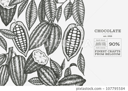Cocoa Banner Template. Chocolate Retro Cocoa Beans Background. Vector Vintage Style Hand Drawn Illustration. Cocoa Banner Template. Chocolate Retro Cocoa Beans Background. Vector Vintage Style Hand Drawn Illustration. 107795584