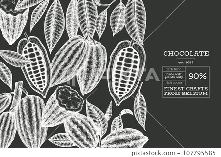 Cocoa Chalk Board Vector Banner Template. Chocolate Retro Cocoa Beans Background. Vintage Style Hand Drawn Illustration. Cocoa Chalk Board Vector Banner Template. Chocolate Retro Cocoa Beans Background. Vintage Style Hand Drawn Illustration. 107795585
