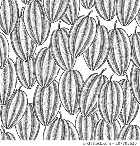 Hand drawn sketch style carambola seamless pattern. Organic fresh fruit vector illustration. Retro fruit background 107795620
