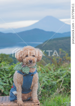 Dog and Mt. Fuji 107796411