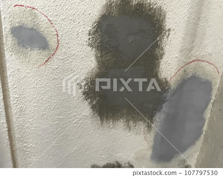 Repair areas with mortar finish 107797530