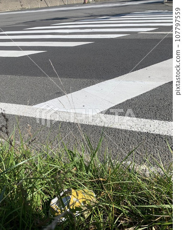 One of the children's shoes on the side of the road (no car) 107797559