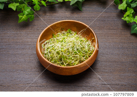 西蘭花芽 西蘭花芽 107797809