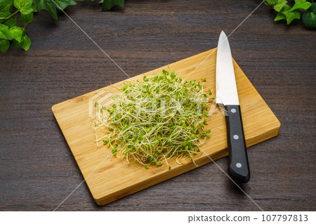 西蘭花芽 西蘭花芽 107797813