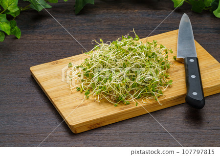 Broccoli Sprout 107797815