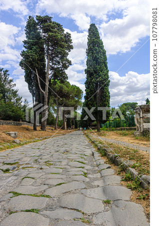 Vertical panorama of the Appian Way, Rome Vertical panorama of the Appian Way, Rome 107798081