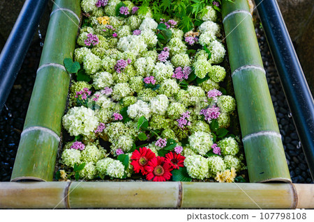 Flower hand water at Otori Shrine, also known as “Tenno-san” (Koka City, Shiga Prefecture) Flower hand water at Otori Shrine, also known as “Tenno-san” (Koka City, Shiga Prefecture) 107798108