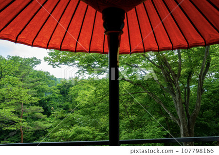Red Japanese-style parasol and fresh green forest 107798166