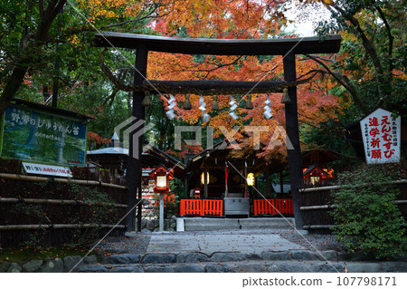 Nomiya寺廟的秋葉 Nomiya寺廟的秋葉 107798171