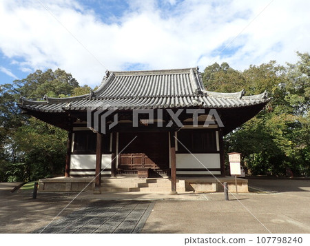 東大寺，正式名稱為奈良大佛寺，位於奈良縣奈良市，是金光名四天王護國寺的寺廟。 107798240