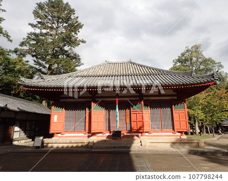 東大寺，正式名稱為奈良大佛寺，位於奈良縣奈良市，是金光名四天王護國寺的寺廟。 107798244