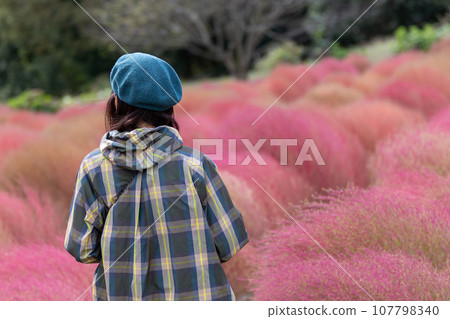 A woman walking through the kochia fields in Igano 107798340