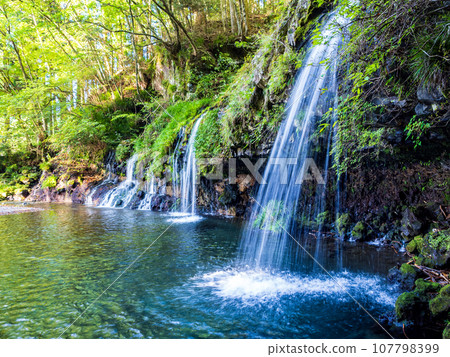 (Shizuoka Prefecture) Jinguma Falls (Shizuoka Prefecture) Jinguma Falls 107798399