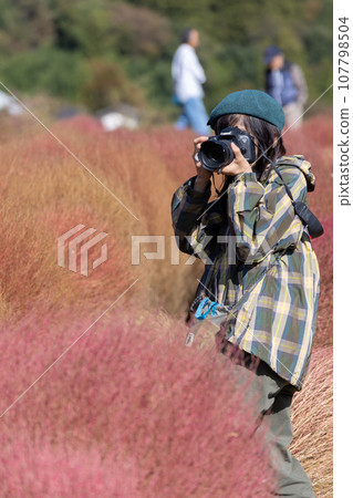 一名婦女在伊賀野的地膚地拍照 107798504