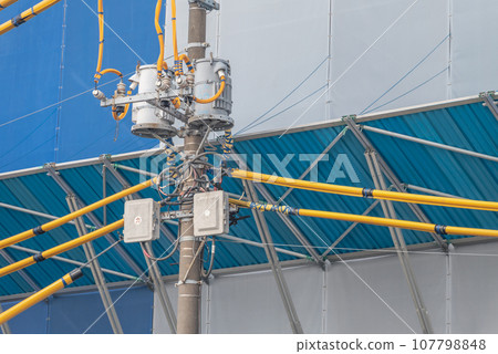 工地的牽牛花和電線保護管 107798848