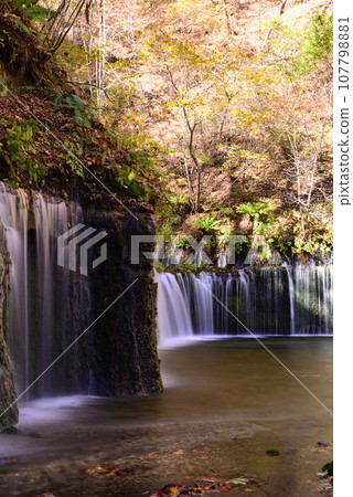 Karuizawa with vivid autumn leaves Karuizawa with vivid autumn leaves 107798881