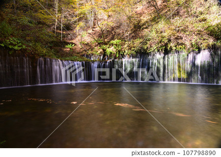 Karuizawa with vivid autumn leaves 107798890