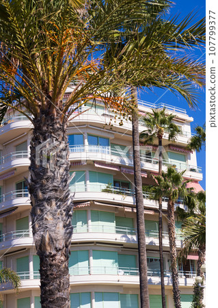 法國南部尼斯的建築物 107799377