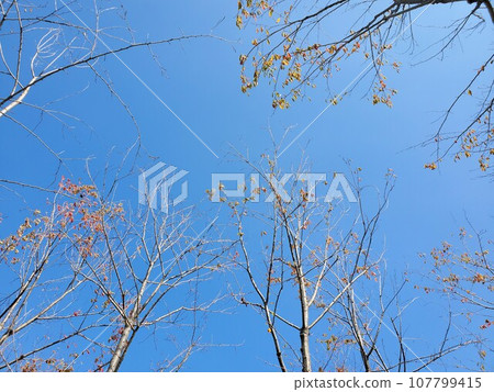 秋天天空風景 107799415